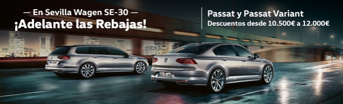 Sevilla Wagen SE-30 Camas liquida 11 unidades Passat y Passat Variant con descuentos de 10.500€ a 12.000€