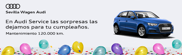 Mantenimiento Oficial Audi 120.000 KM