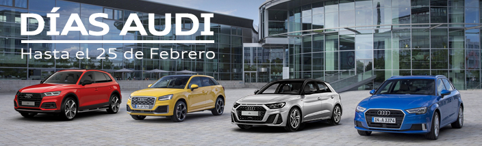 Ofertas Febrero Audi