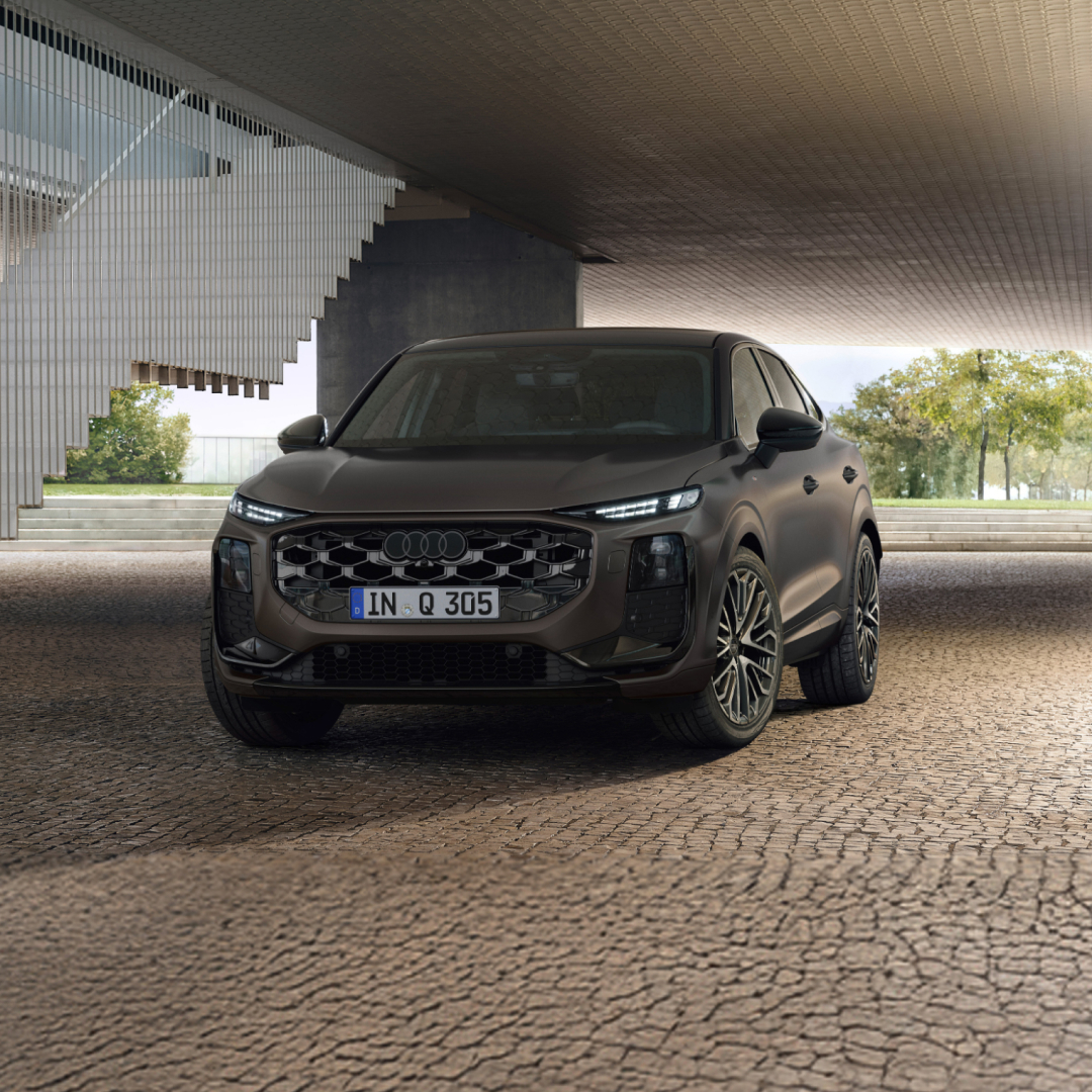 Descripción de la imagen