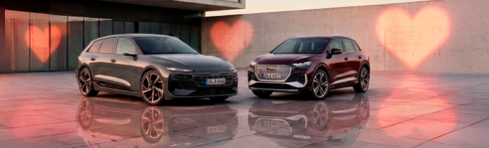 Audi electric lovers | Sevilla Wagen